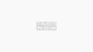 Sreeleela To Romance Kartik Aaryan In Anurag Basus Next - All About Kissik Fame Who Has Replaced Triptii Dimri