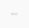 Ranveer Allahbadia-IGL Row Rakhi Sawant Siddhant Chaturvedi Urfi Javed Raftaar Summoned By Cyber Cell